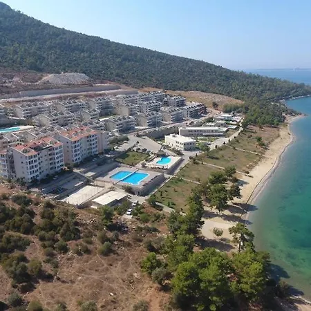 Egeyildizi